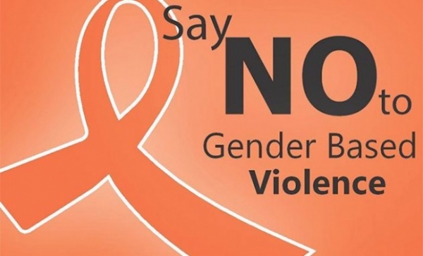 SPECIAL REPORT: Strides made by JLOS institutions in the fight against SGBV